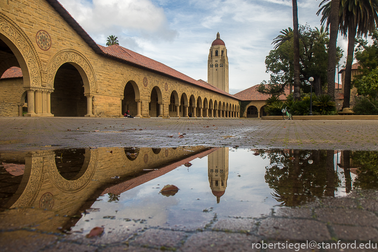 the quad